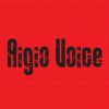 Aigio Voice 