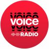 Voice 