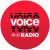 Voice 