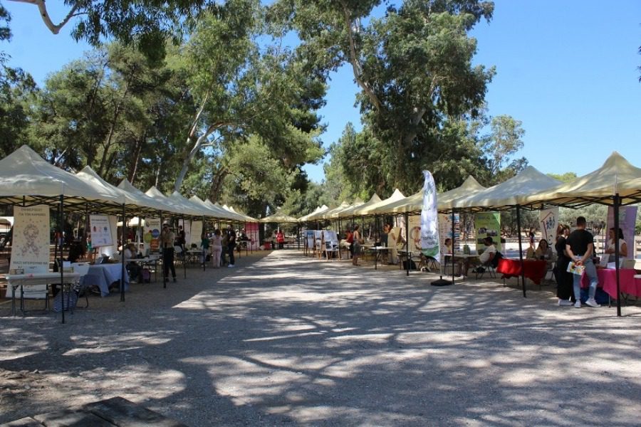 Όλα όσα έγιναν στο Φεστιβάλ Εθελοντισμού 2022 «Voluntary Action» από τη Skywalker