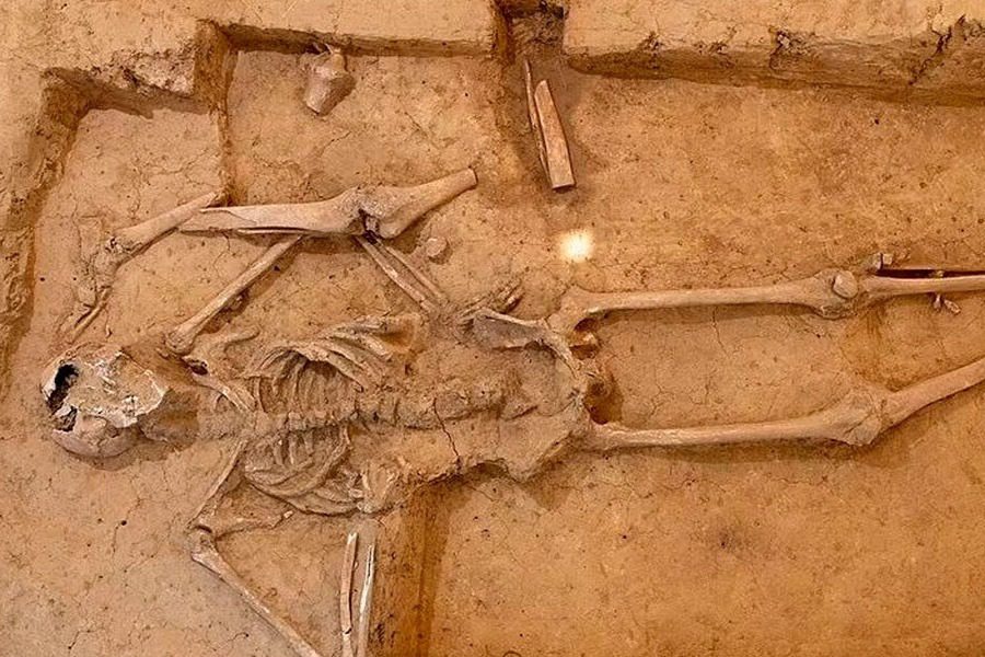 Ιστορικοί δίνουν μακάβρια εξήγηση για το τι απέγιναν όλοι οι σκελετοί από τη μάχη του Βατερλό!