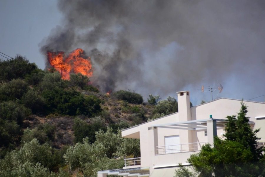 Φωτιά στην Αργολίδα: «Έπρεπε όλα να γίνουν γρήγορα»