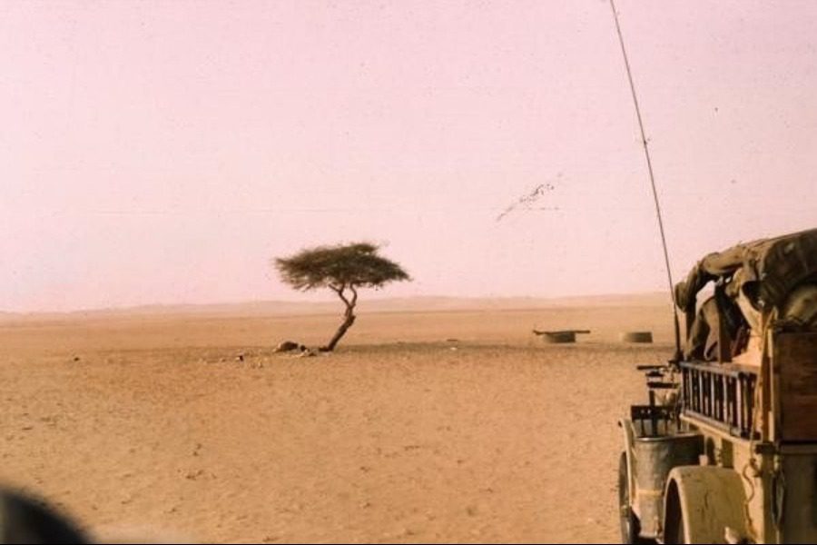 Τι απέγινε το δέντρο που στεκόταν μόνο του στην έρημο Σαχάρα για αιώνες;