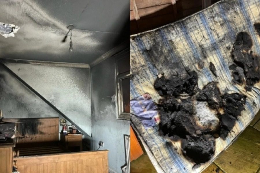 Σκύλος «εμπρηστής»: Αναψε πιστολάκι μαλλιών και έπιασε φωτιά το σπίτι