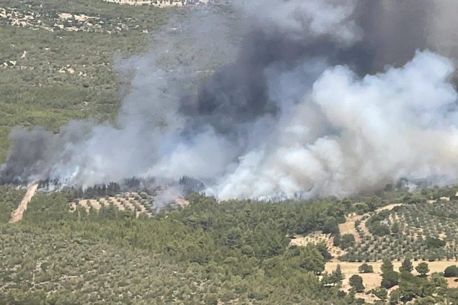 Φωτιά στα Μέγαρα: Εξαπλώνεται το μέτωπο