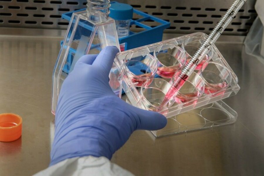 Ευλογιά των πιθήκων: Επιβεβαιώνει κρούσματα σε 19 χώρες ο ΠΟΥ