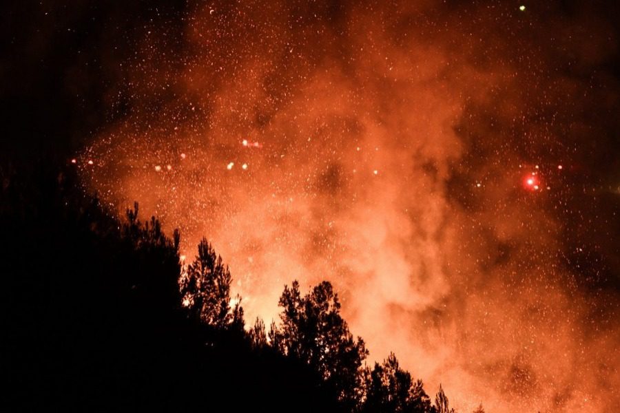 Σοκ: Αύξηση 750% στις δασικές πυρκαγιές το πρώτο τρίμηνο του 2022