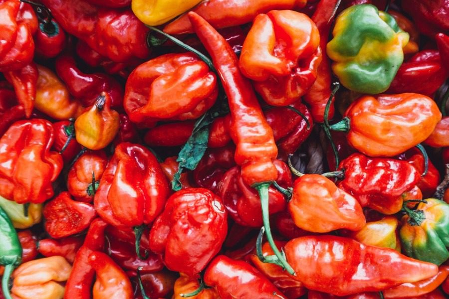 Σήμερα έμαθα: Γιατί οι πιπεριές είναι καυτερές