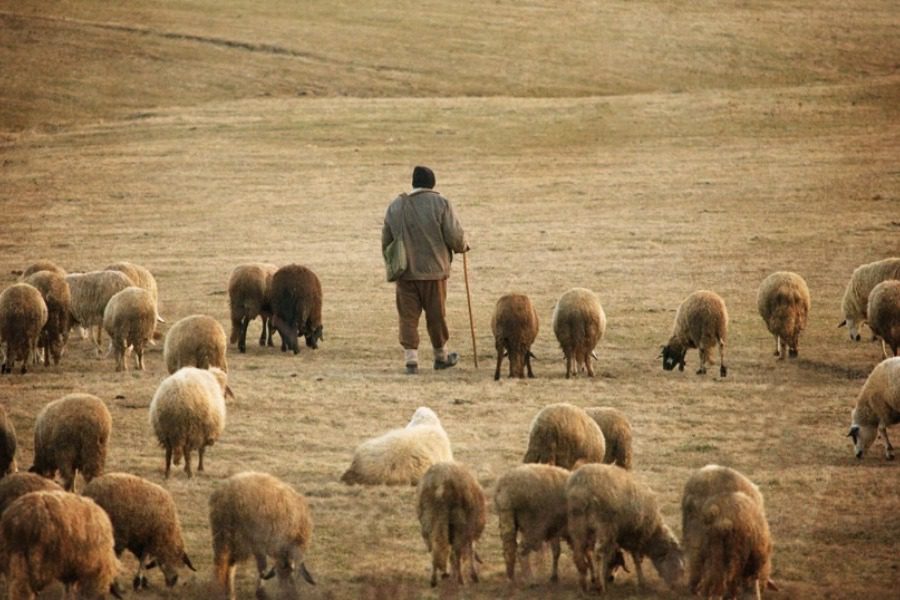 Κρήτη: Βοσκός έδειξε τα γεννητικά του όpγανα σε τουρίστες