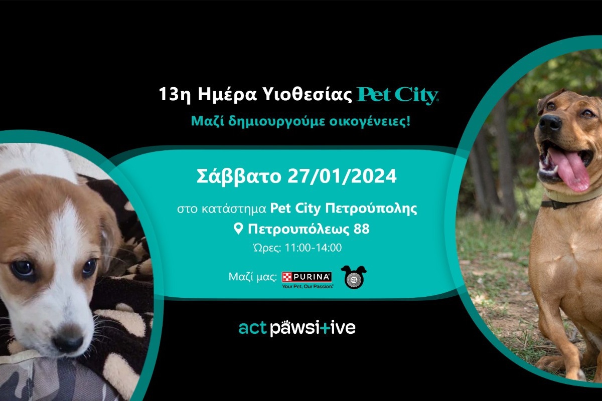 13η Ημέρα Υιοθεσίας των Pet City