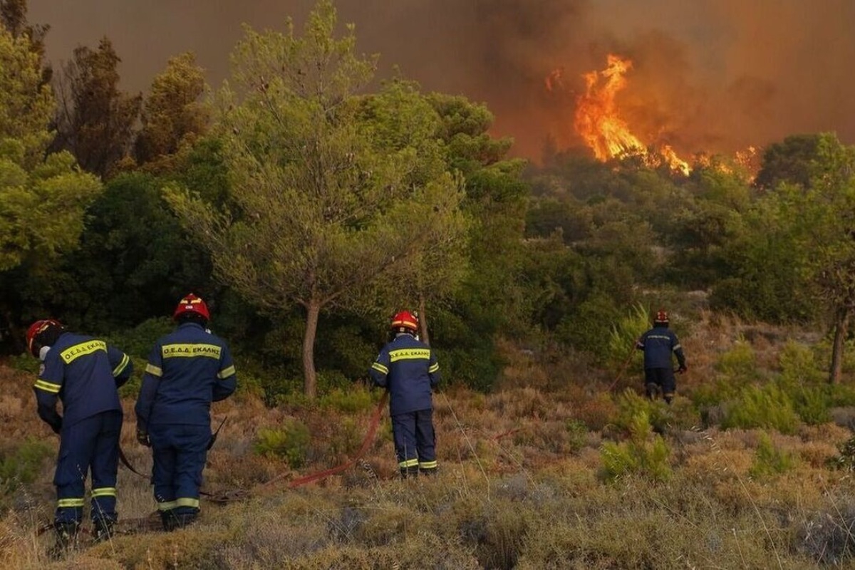 Πύρινη «κόλαση» στον Έβρο: Οι φλόγες ζώνουν το χωριό Γιαννούλη