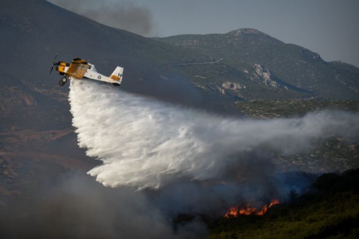 Σοκ από τον απολογισμό των πυρκαγιών τις ημέρες του καύσωνα