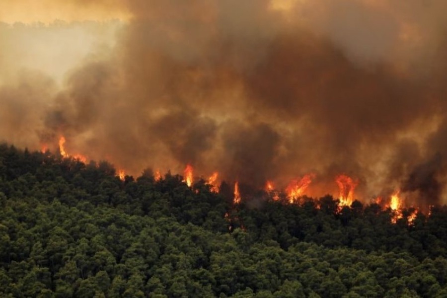 Φωτιά στη Μαγνησία: Εκρήξεις στη Νέα Αγχίαλο
