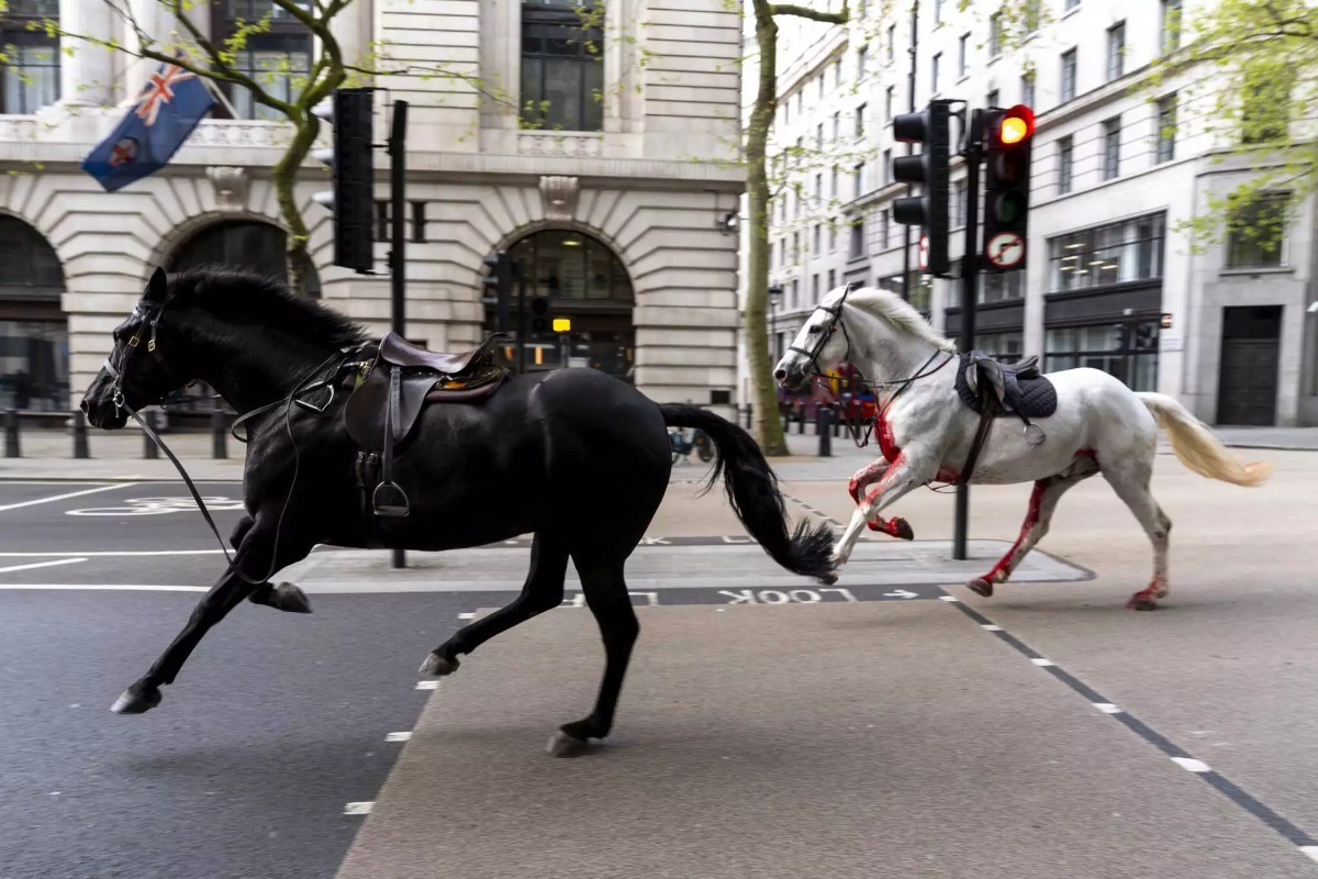 Σε σοβαρή κατάσταση δυο από τα πέντε άλογα που προκάλεσαν πανικό στο Λονδίνο - Ανήκουν στο βασιλικό ιππικό