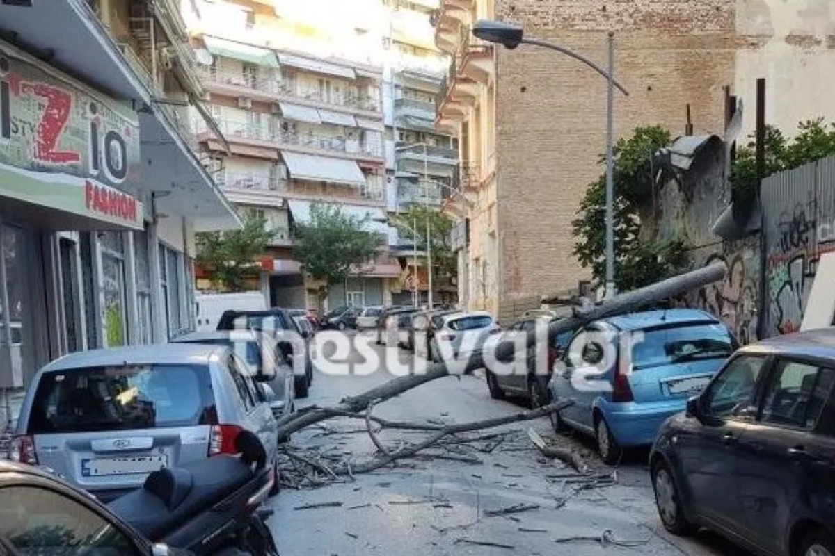 Θυελλώδεις άνεμοι στη Θεσσαλονίκη ‑ Πτώσεις δέντρων και ζημιές σε αυτοκίνητα