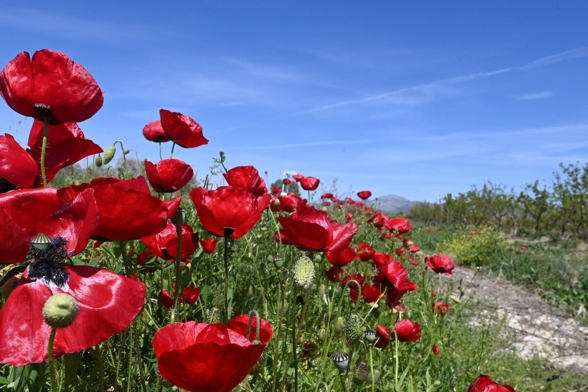 Καιρός ‑ Μαρουσάκης: Όλα αλλάζουν σε λιγότερο από μια εβδομάδα