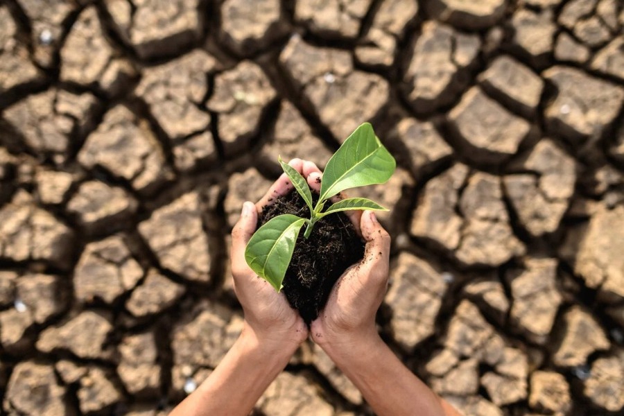 Νόμο – ορόσημο για το περιβάλλον «πέρασε» η ΕΕ: Προβλέπει αποκατάσταση 20% έως το τέλος της δεκαετίας