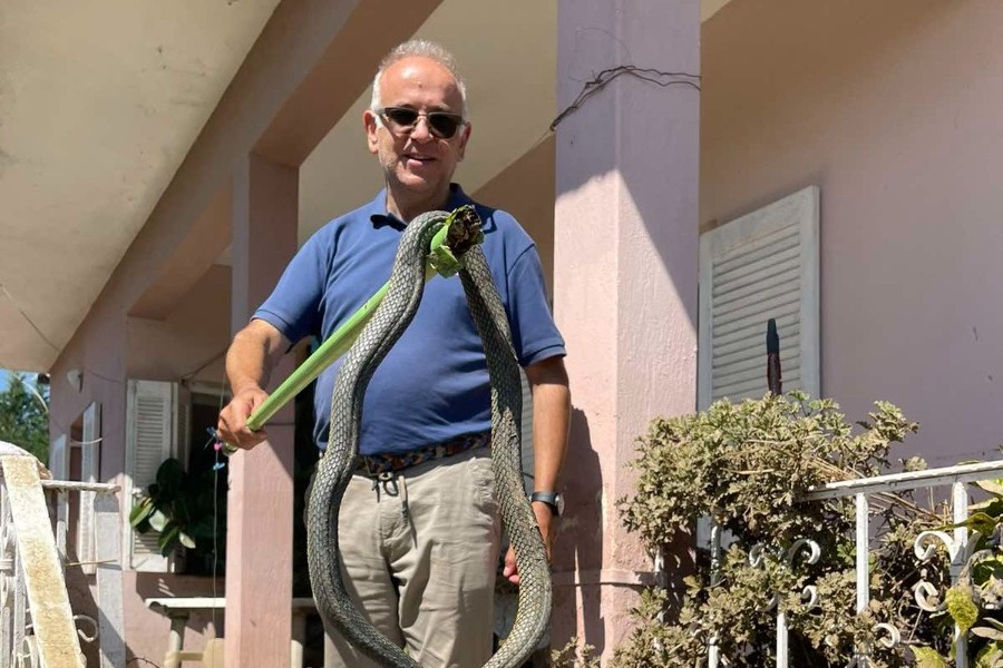 Καρδίτσα: Φίδι 2,5 μέτρων βγήκε μέσα από τα νερά στον Παλαμά