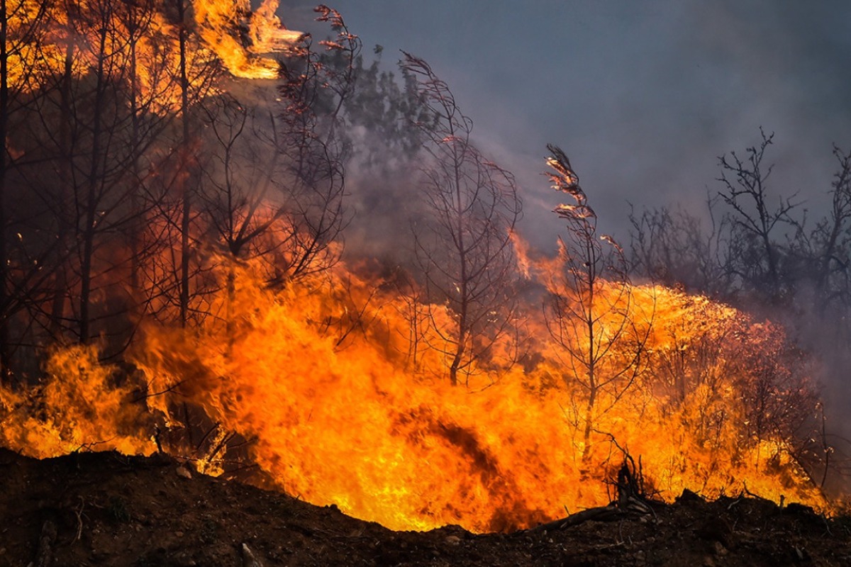 Εκτός ελέγχου η φωτιά στη Μαγνησία: Εντολή εκκένωσης