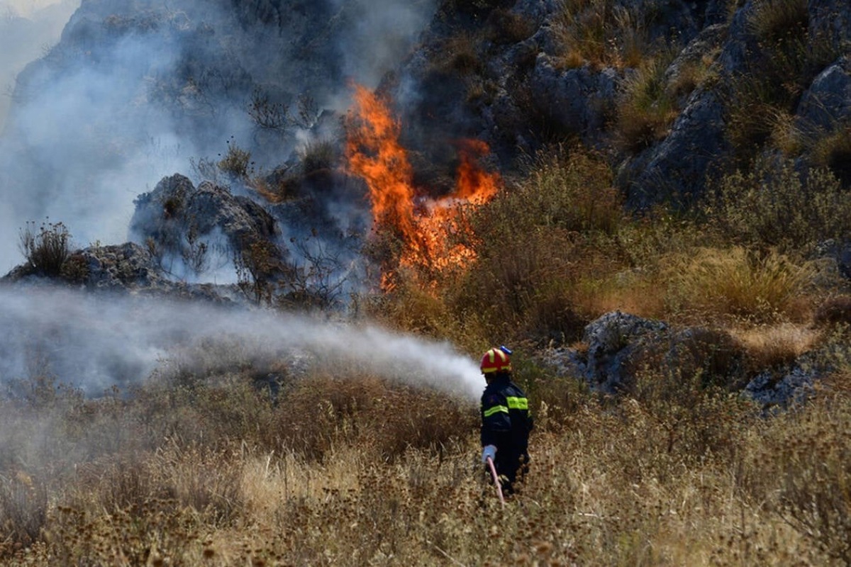 Φωτιές: Μία σύλληψη για απόπειρα εμπρησμού στην Ηλεία