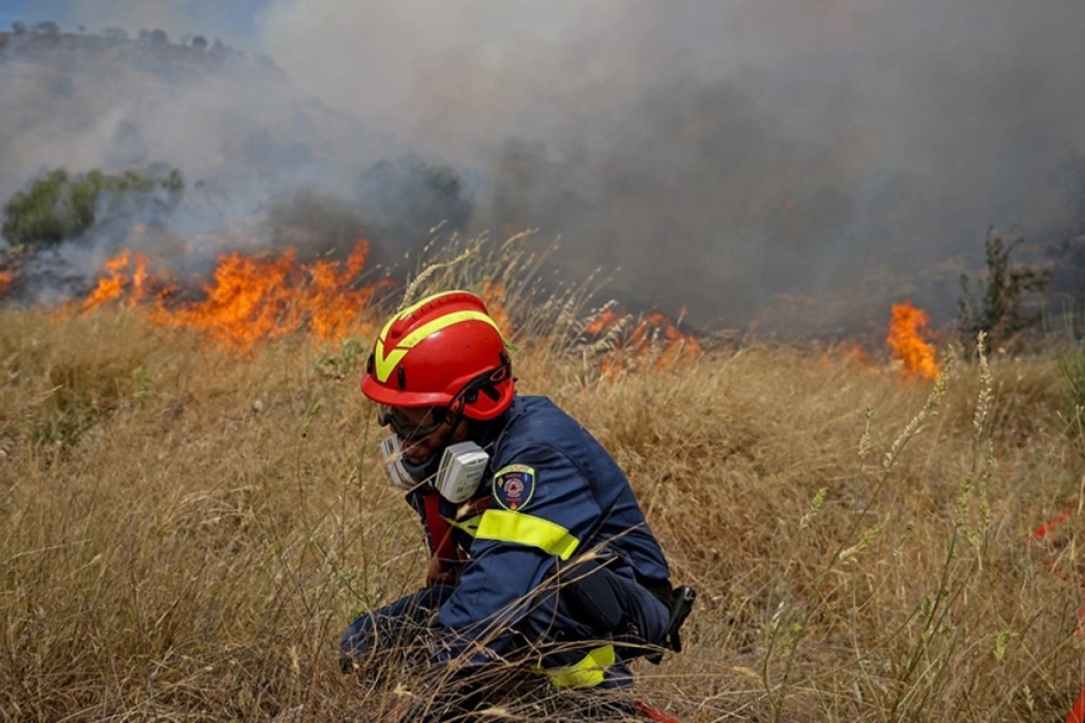 Φωτιά σε δάσος στο Δαμάσι Τυρνάβου ‑ Μεγάλη κινητοποίηση της Πυροσβεστικής