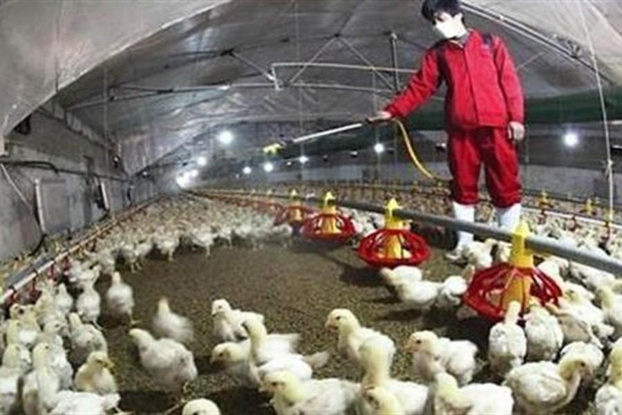 Ο νέος ιός που ανησυχεί τους ειδικούς: Τι είναι και πώς μπορεί να εξαπλωθεί στους ανθρώπους