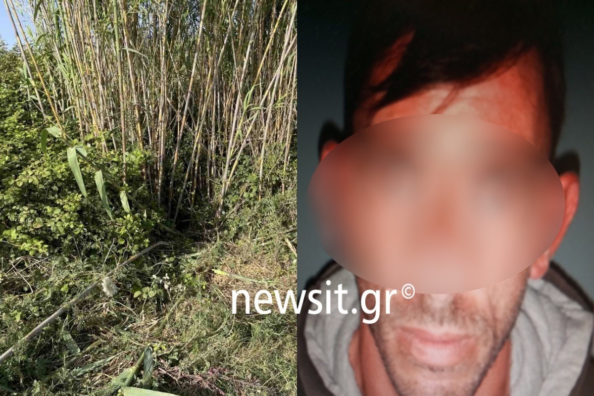 Ηλεία: Η κυνική ομολογία του 37χρονου δολοφόνου της Βασιλικής – «Τη σκoτωσα με κατσαβίδι»