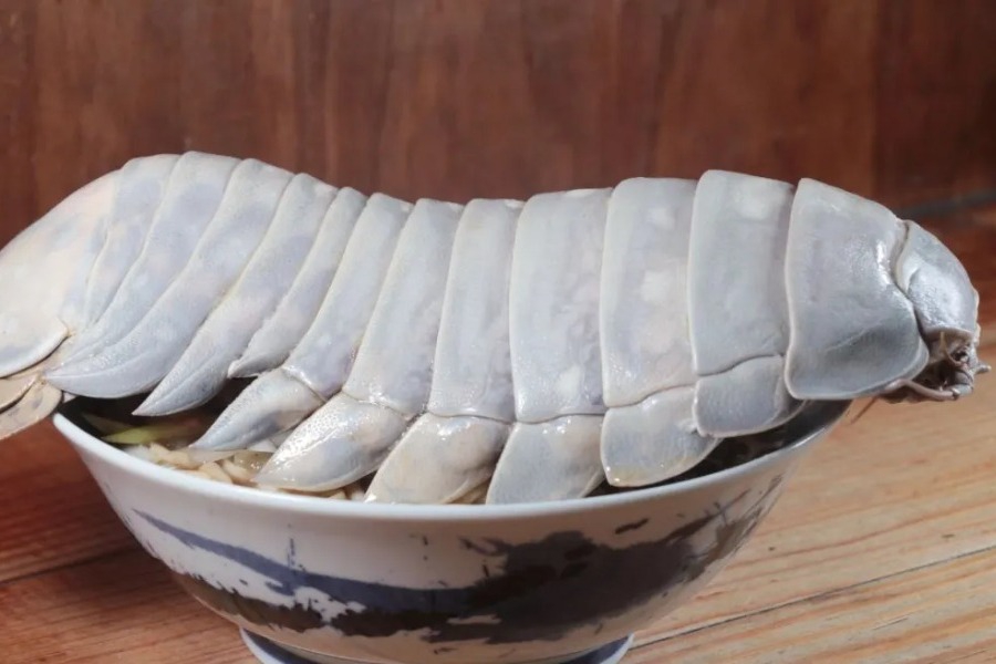 Ταϊβάν: Εστιατόριο για ράμεν παρουσίασε πιάτο με βασικό συστατικό ένα γιγάντιο ισόποδο