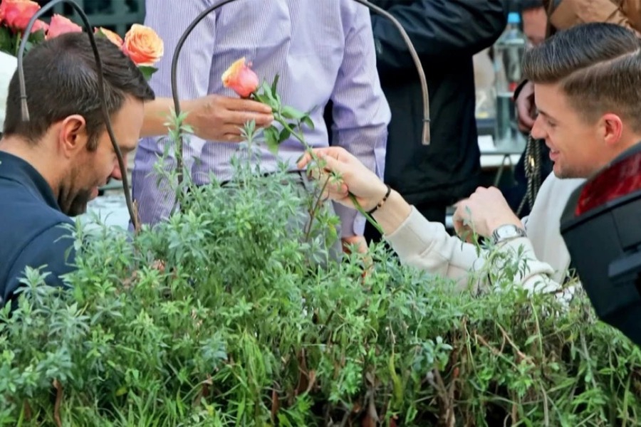 Το λουλούδι που έδωσε ο Στέφανος Κασσελάκης στον Τάιλερ