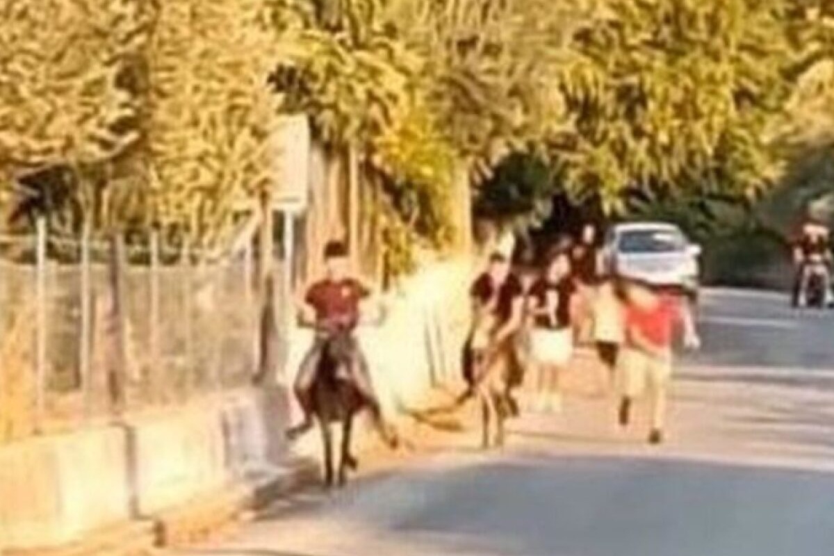 Καταγγελία για «γαϊδουροδρομίες» με ανήλικους στη Λέσβο ‑ Δείτε βίντεο