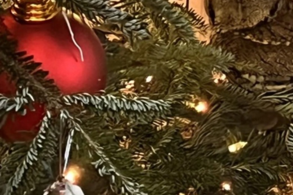 Απίστευτο! Τι κρυβόταν στο χριστουγεννιάτικο δέντρο μιας οικογένειας για μέρες, χωρίς να το δουν
