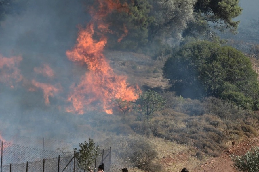 Φωτιά στον Κουβαρά: Προσαγωγή αλλοδαπού για την πυρκαγιά