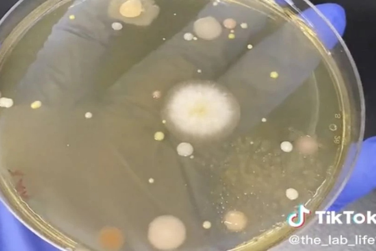 «Βόμβες» μικροβίων οι στεγνωτήρες χεριών ‑ Το προειδοποιητικό βίντεο στο TikTok