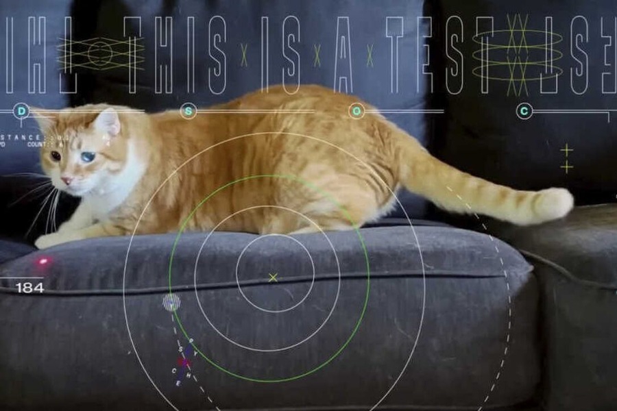 H NASA για πρώτη φορά εκπέμπει βίντεο με τη γάτα Taters από το βαθύ διάστημα