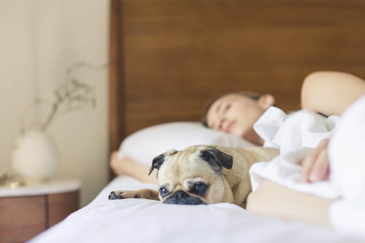 Γιατί οι γυναίκες που κοιμούνται με τον σκύλο τους, κάνουν καλύτερο ύπνο
