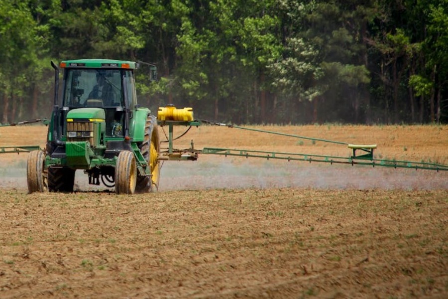 Κρήτη: Σε απόγνωση οι παραγωγοί ‑ Τα κηπευτικά καταλήγουν στις χωματερές