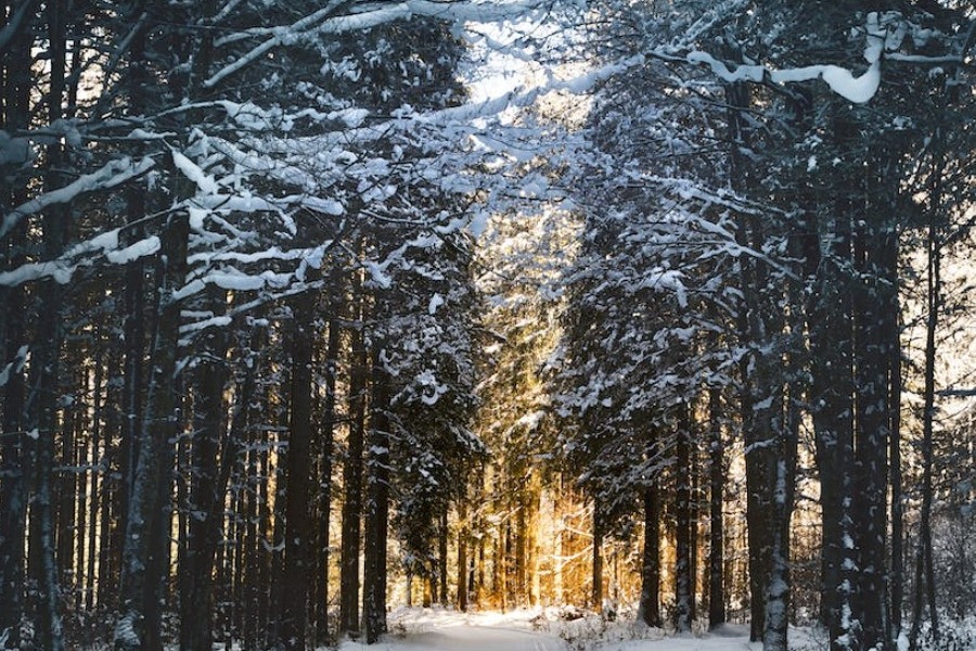 Τα ζώδια σήμερα: 2 Ιανουαρίου