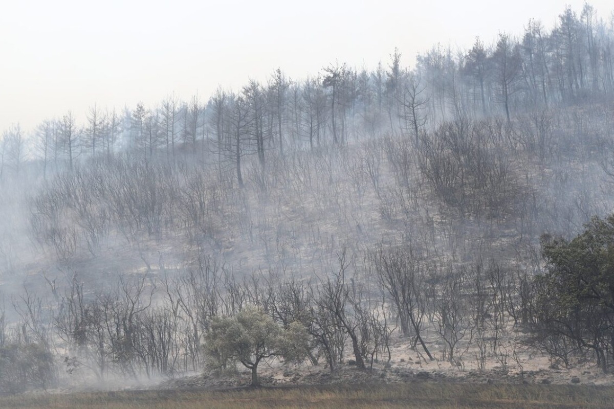 Φωτιά στην Αλεξανδρούπολη: Εντοπίστηκαν και άλλοι νεκροί μετανάστες στο δάσος Δαδιάς