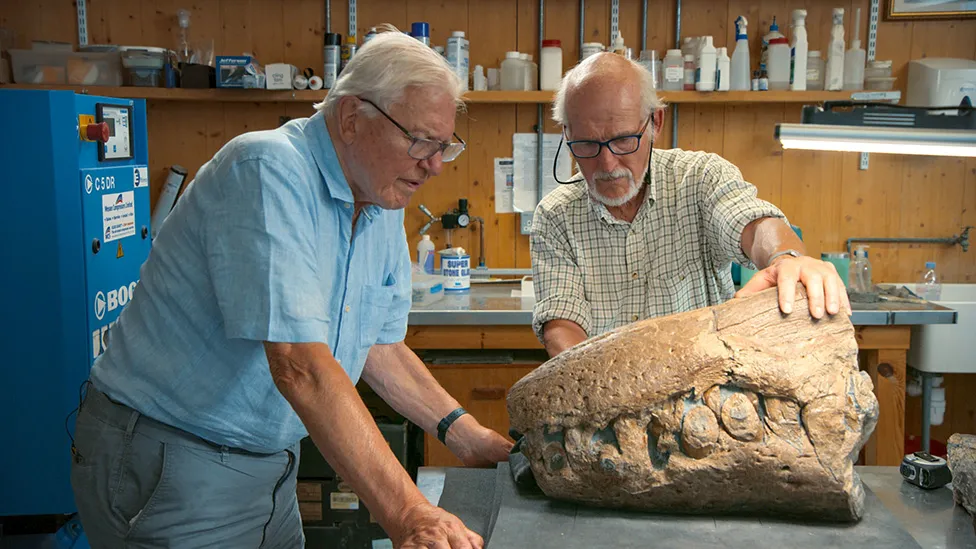 Απίστευτο: Βρήκαν κρανίο του «γίγαντα» που τρομοκρατούσε τις θάλασσες πριν από εκατομμύρια χρόνια 33