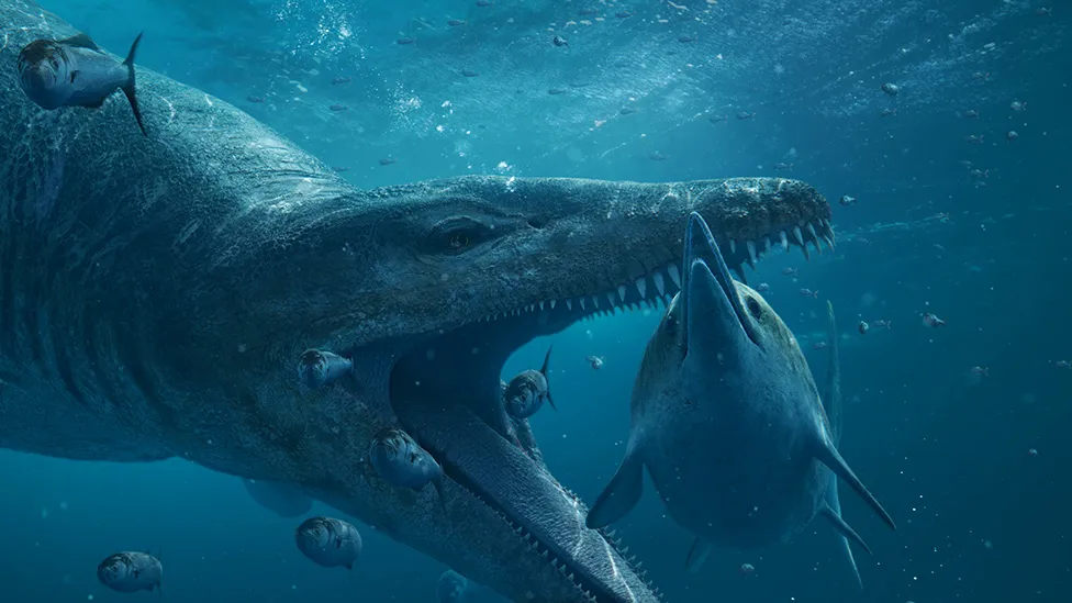 Απίστευτο: Βρήκαν κρανίο του «γίγαντα» που τρομοκρατούσε τις θάλασσες πριν από εκατομμύρια χρόνια 32