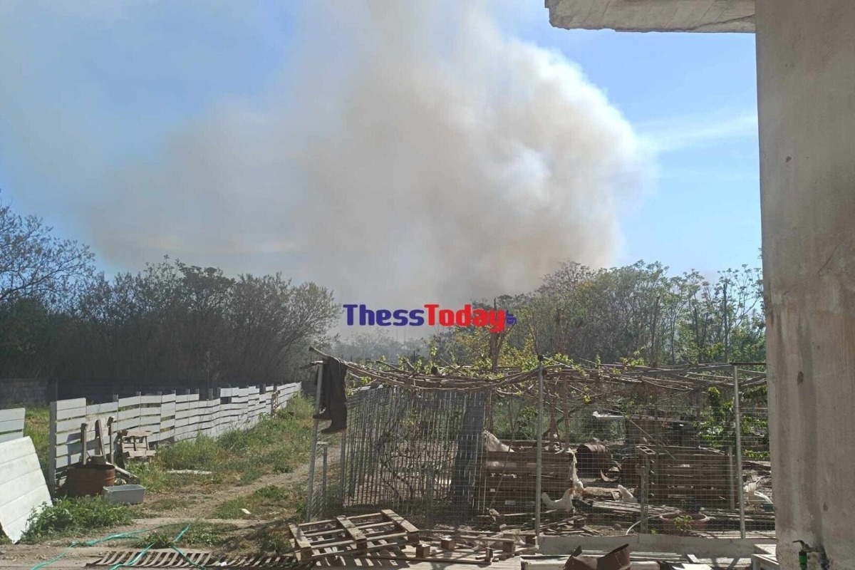 Θεσσαλονίκη: Ξέσπασε μεγάλη φωτιά ‑ Καίει κοντά σε βαγόνι του ΟΣΕ