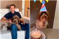 Δείτε βίντεο: Η σκυλίτσα του Στέφανου Κασσελάκη είχε γενέθλια και το γιόρτασε