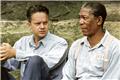 Η ατάκα στο «The Shawshank Redemption» που μπέρδεψε πολύ κόσμο