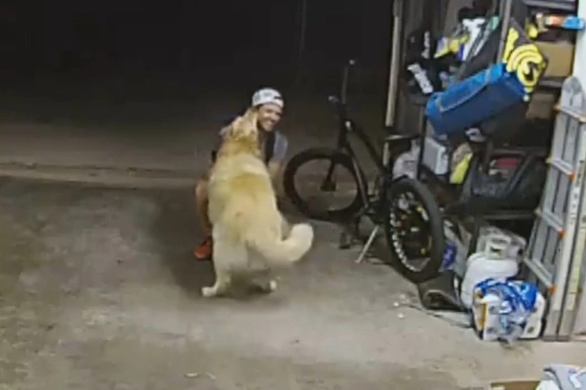 Σαν Ντιέγκο: Διαρρήκτης έκανε… διάλειμμα για παίξει με τον σκύλο του σπιτιού που «ξάφριζε»!