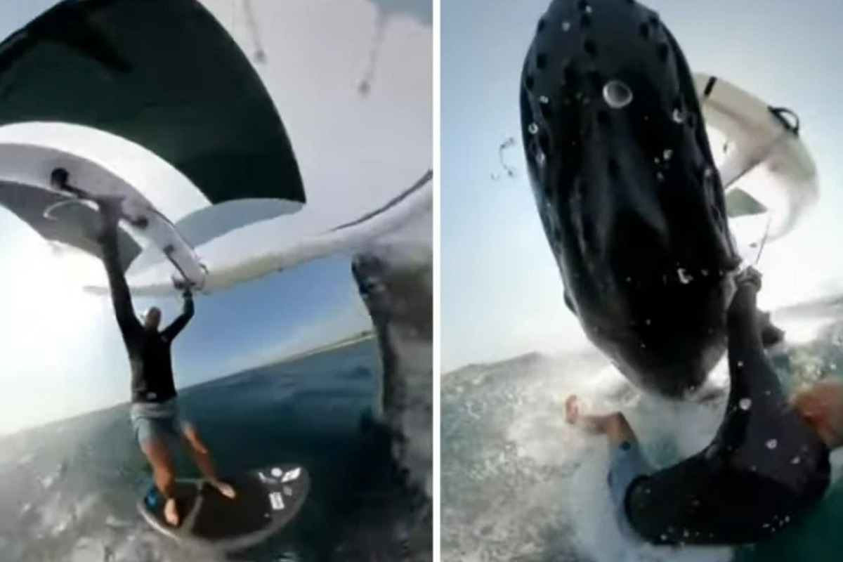 Η απίστευτη στιγμή που σέρφερ καταγράφει τη σύγκρουση με φάλαινα με τη GoPro του