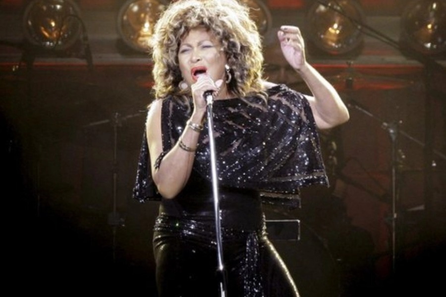 Tina Turner: Ο γιος της συνελήφθη για ναρκωτικά