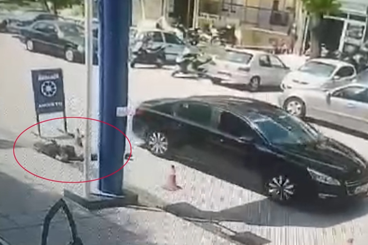 Βίντεο: Η στιγμή που δολοφονείται ο 50χρονος μετά από καβγά στη Θεσσαλονίκη ‑ Δείτε βίντεο