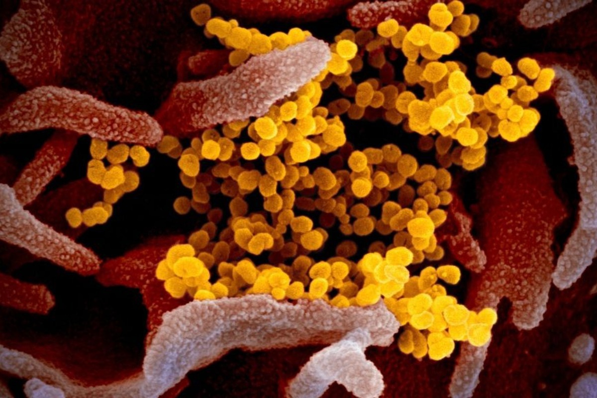 Έκτακτη προειδοποίηση του Παγκόσμιου Οργανισμού Υγείας ‑ Το νέο στέλεχος H3N2 προκαλεί φόβο