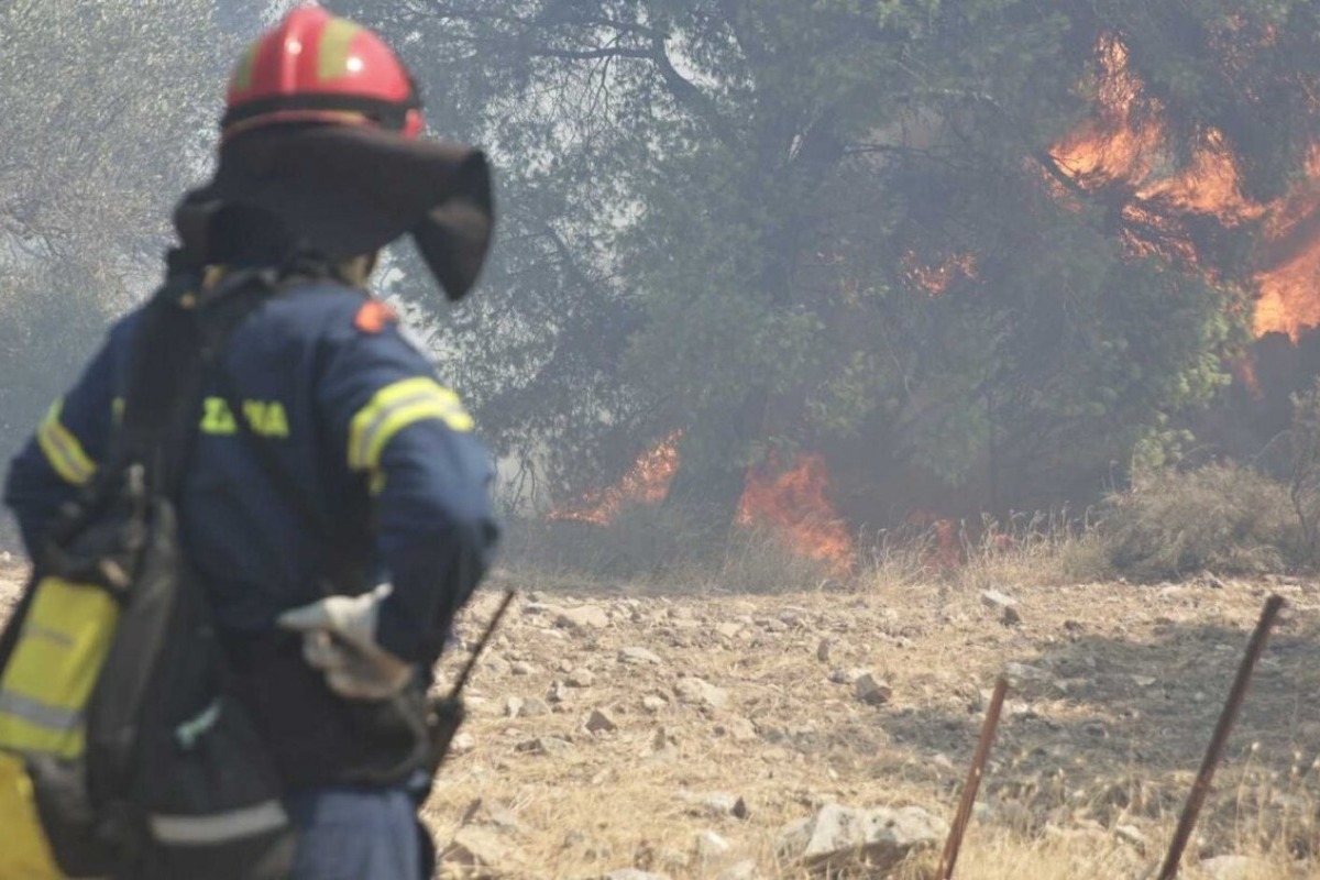 Πρέβεζα: Αυτόπτης μάρτυρας σε εμπρηστική ενέργεια ο Δήμαρχος ‑ Αίτημα για κήρυξη σε έκτακτη ανάγκη