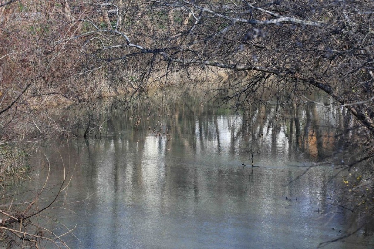 Ανεβαίνει η στάθμη του Πηνειού - Σε αυξημένη επιφυλακή ο Δήμος Λάρισας - Τα θυροφράγματα έχουν κλείσει στο σύνολό τους, προκειμένου να περιοριστεί ο κίνδυνος εισροών